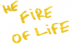  Младежки обмен в Румъния – “The Fire of Life” Учене за промяна