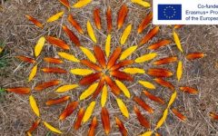  Обучителен курс в Румъния – Eco-centric development for inclusion and empowerment Учене за промяна