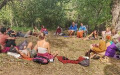  THROUGH ASH AND BLOSSOM – a nature-based journey into purpose and cultural regeneration Учене за промяна